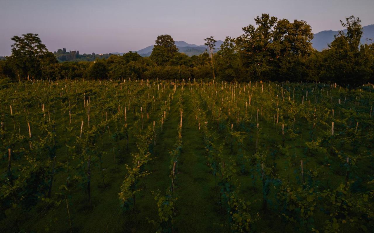 Menabde Winery Hotel Ozurget'i ภายนอก รูปภาพ