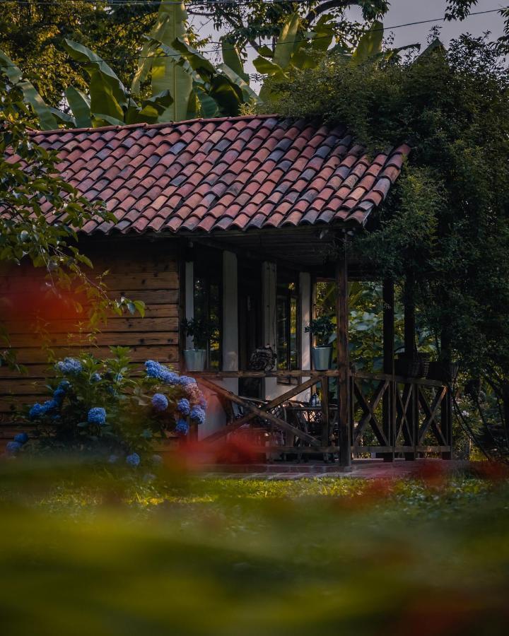 Menabde Winery Hotel Ozurget'i ภายนอก รูปภาพ